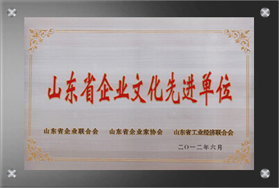 山东省豪利777官网先进单位